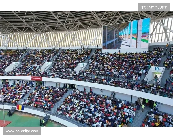 中国维保组成员见证乍得体育场首秀:深感多年心血没有白费 中国维保组成员见证乍得体育场首秀:深感多年心血没有白费